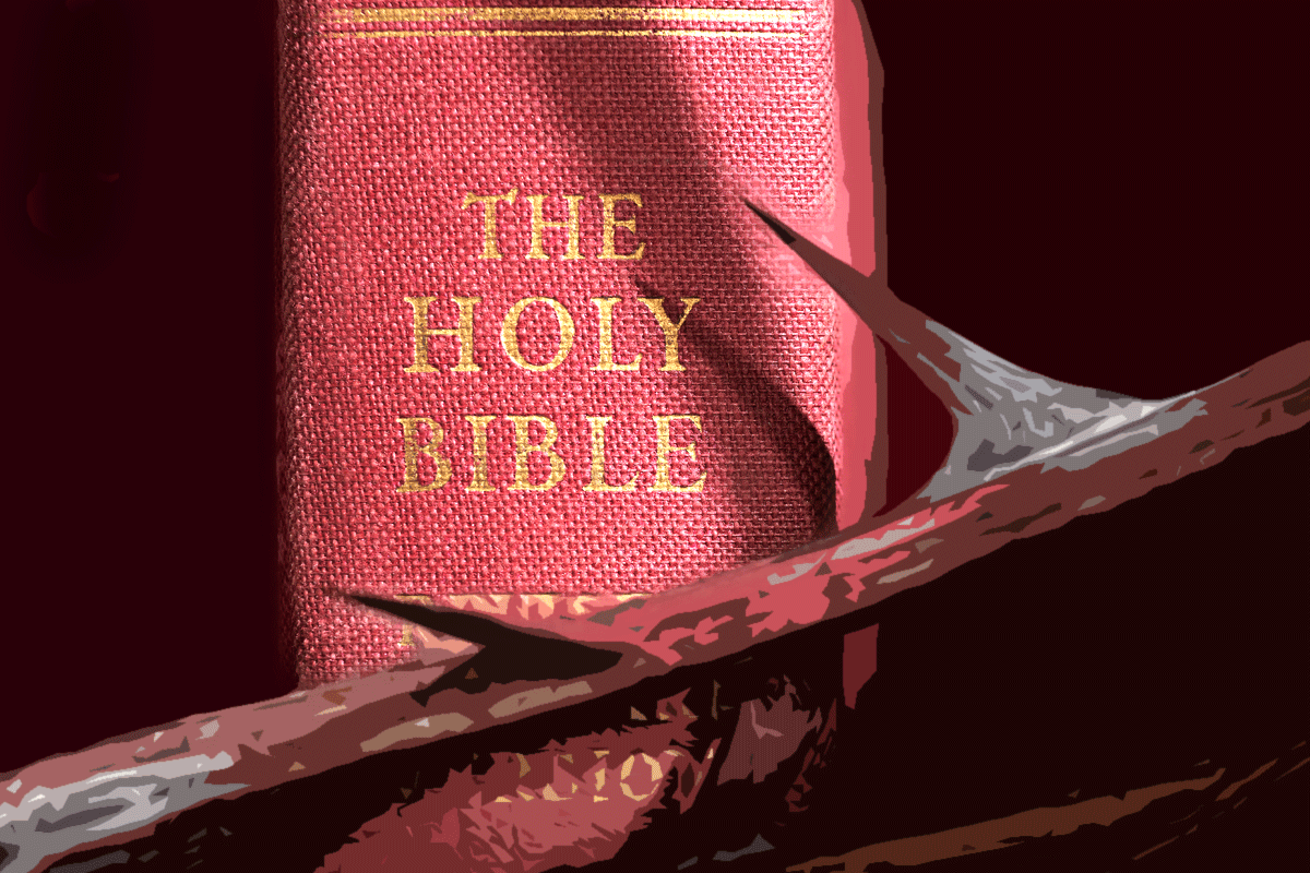 Holy Bible for All Books of the Bible In Order
