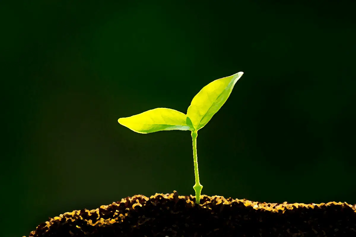 parable of the growing seed bible verse