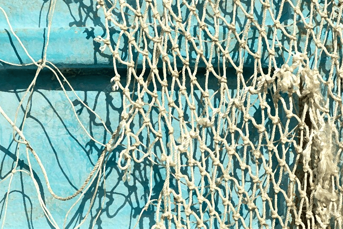 Dragnet for Parable of the Net