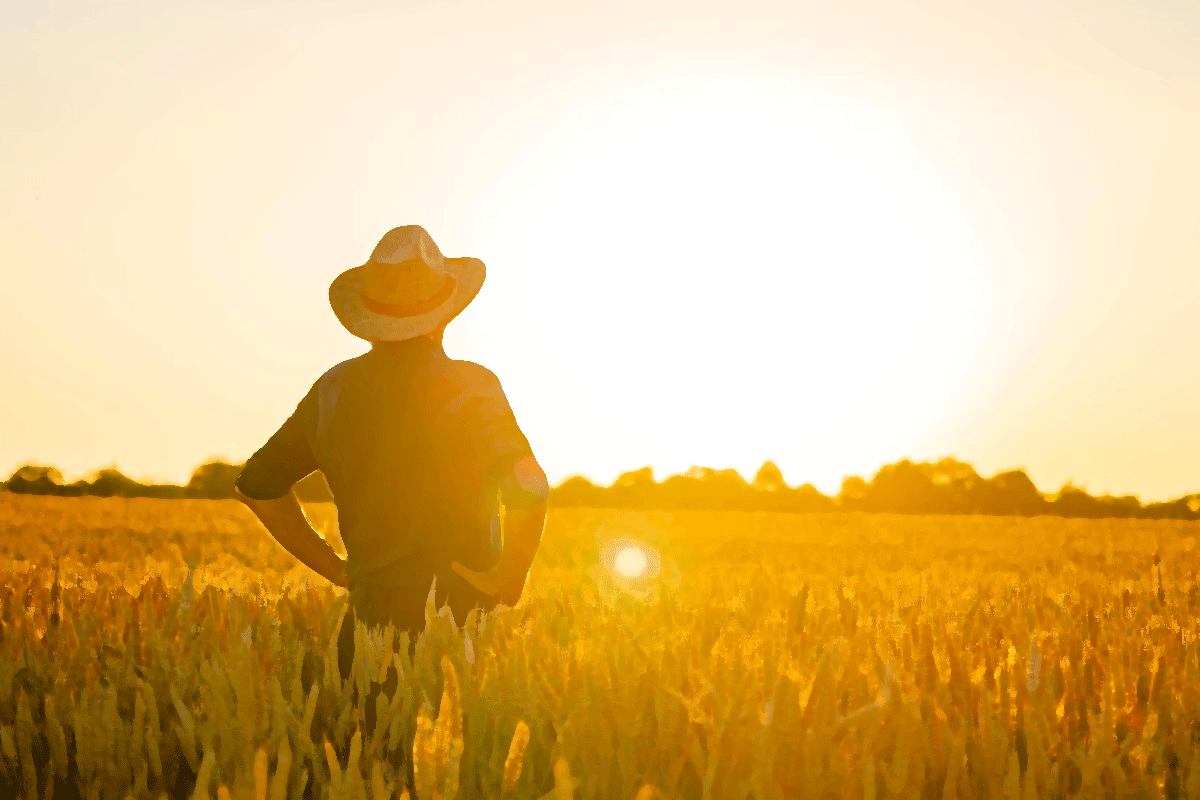 Farmer with crops for Parable of the Sower