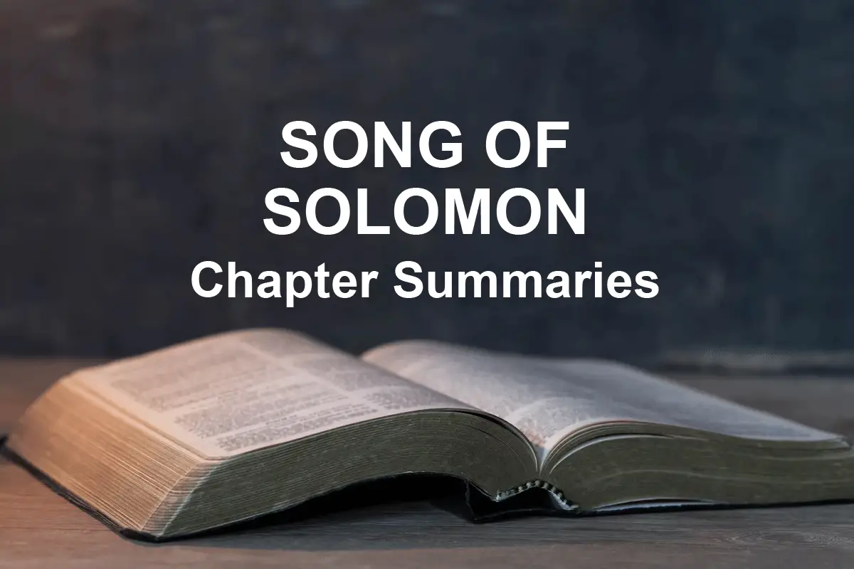 Song Of Solomon Chapter 1 Summary And Analysis Song of Solomon Chapter Summaries (1-8)