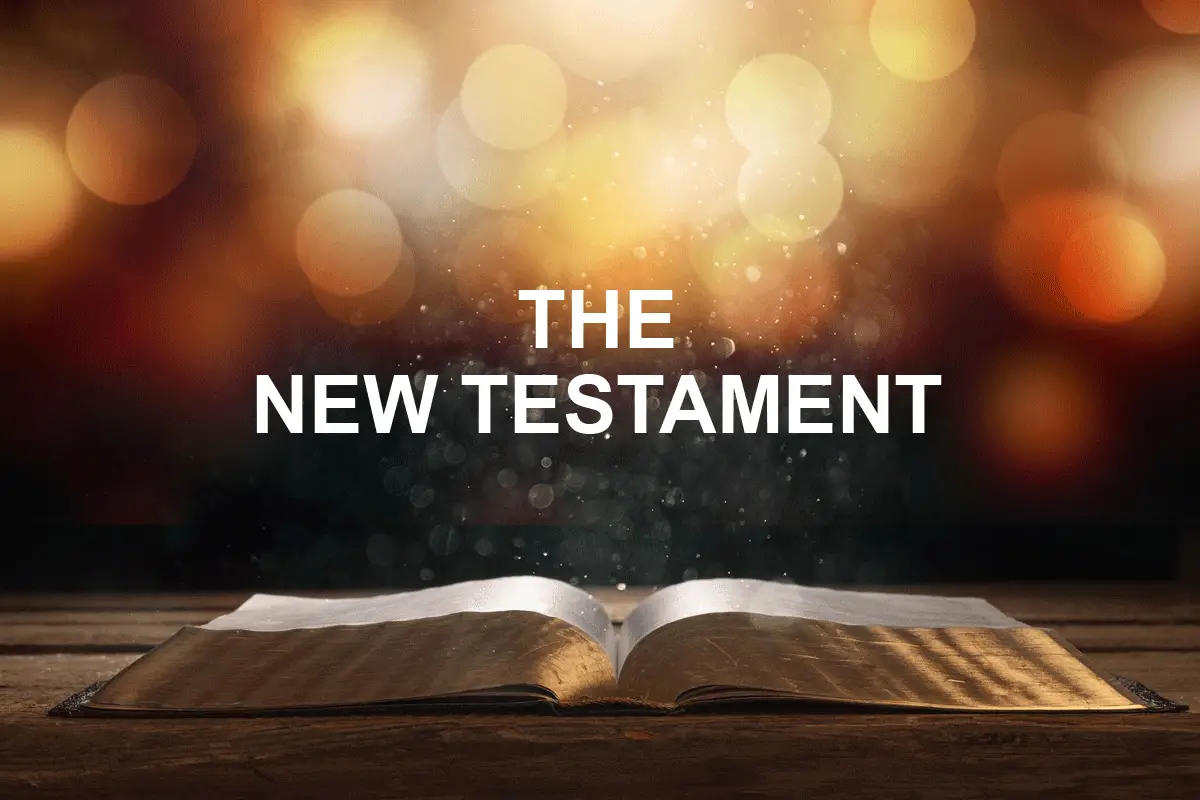 bible new testament download