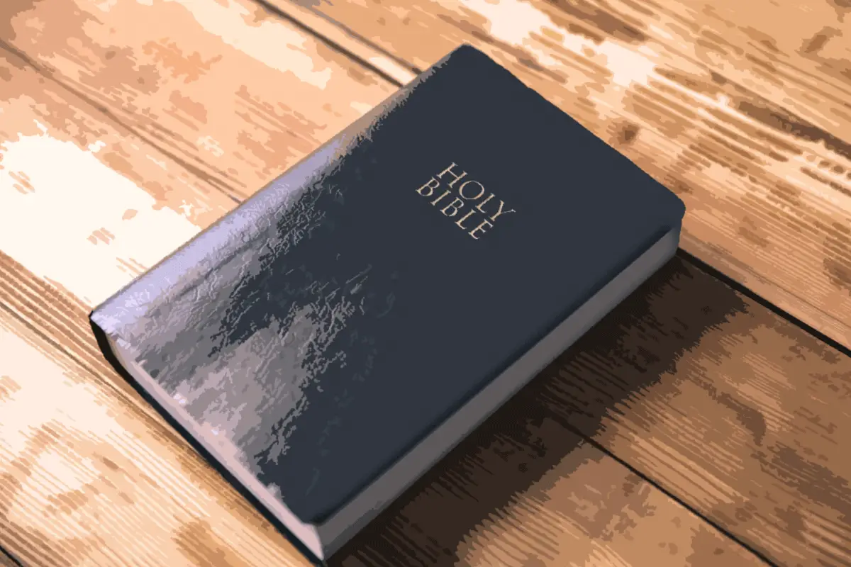 The Holy Bible for various Bible translations and versions